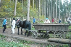 P1150149