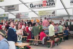 bmf_2016_samstag_106