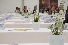 bmf_2016_sonntag_029