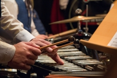 konzert_2017_47