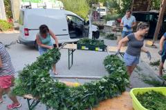 WhatsApp-Bild-2024-09-01-um-10.52.27_f5019b35
