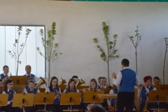 rohrer_mostkost_2017_01