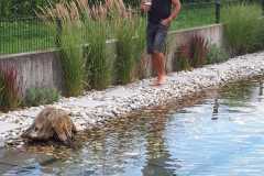 WhatsApp-Image-2018-12-15-at-12.17.11-23